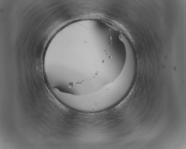 X0000067831184200605111609