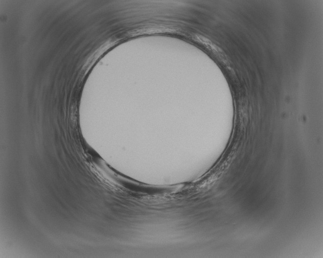 X0000067831185200605111609