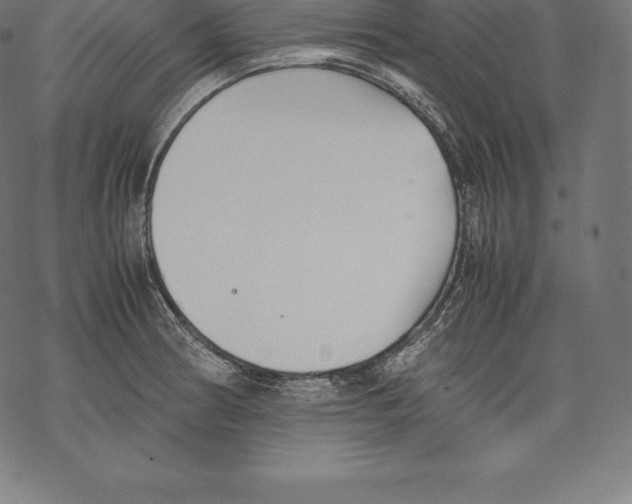 X0000067831186200605111609