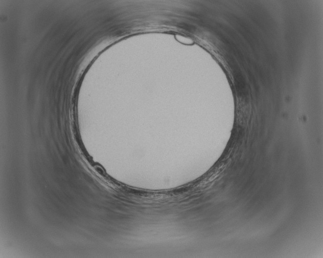 X0000067831187200605111609