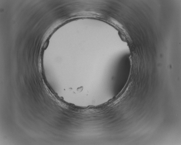 X0000067831188200605111609