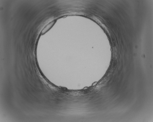 X0000067831189200605111609