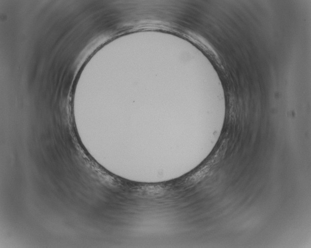 X0000067831190200605111609