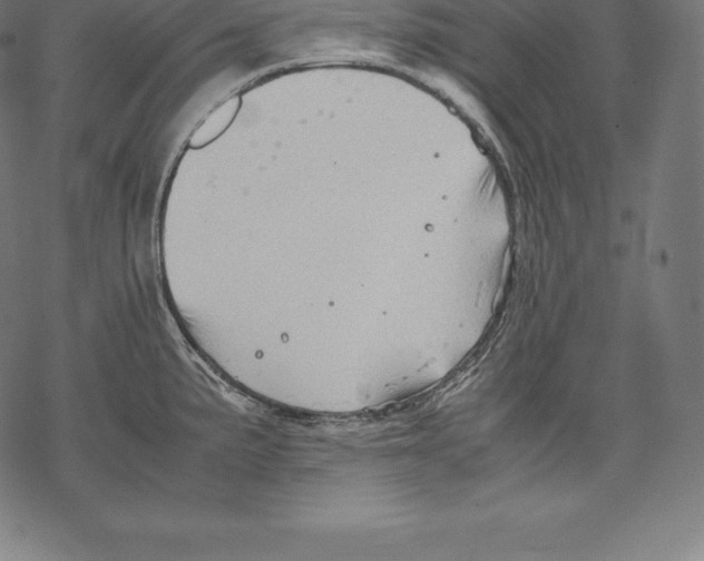 X0000067831191200605111609