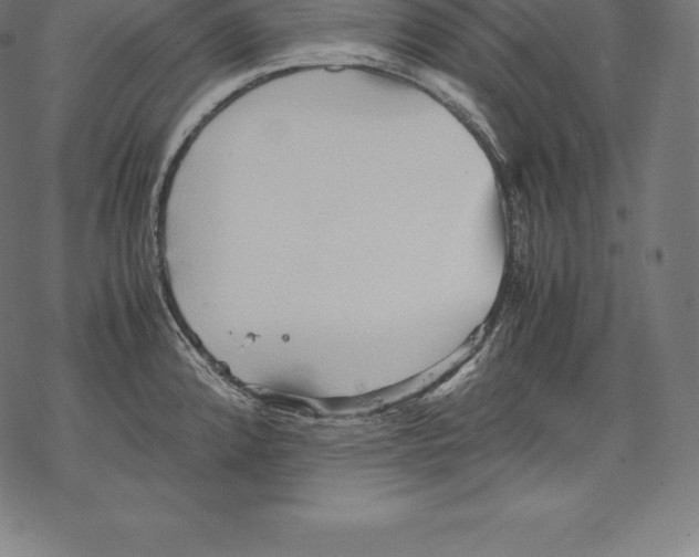 X0000067831192200605111609