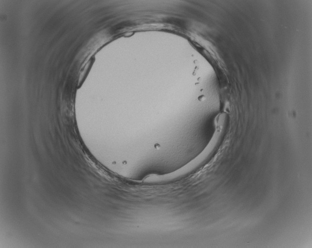 X0000067831193200605111609