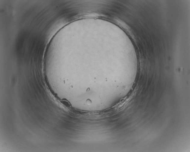 X0000067831194200605111609