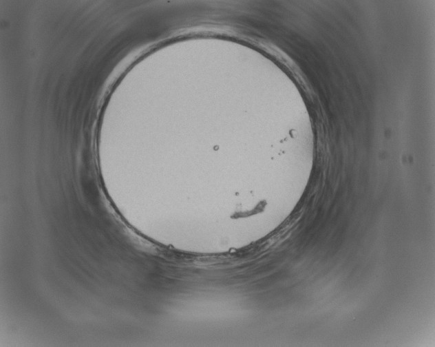 X0000067831199200605111609