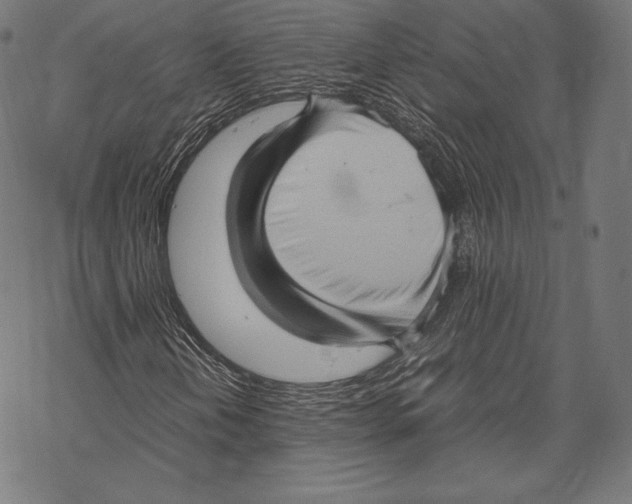 X0000067831202200605111608