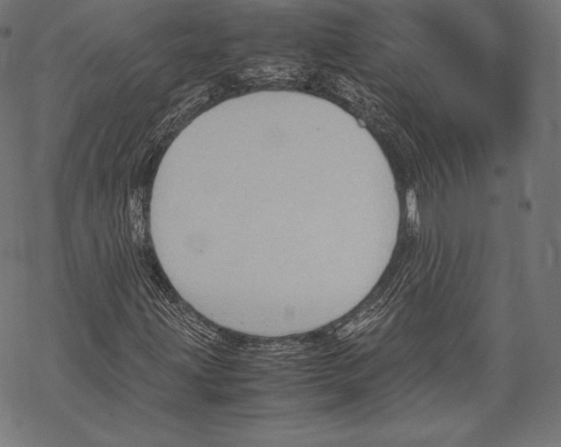 X0000067831203200605111608