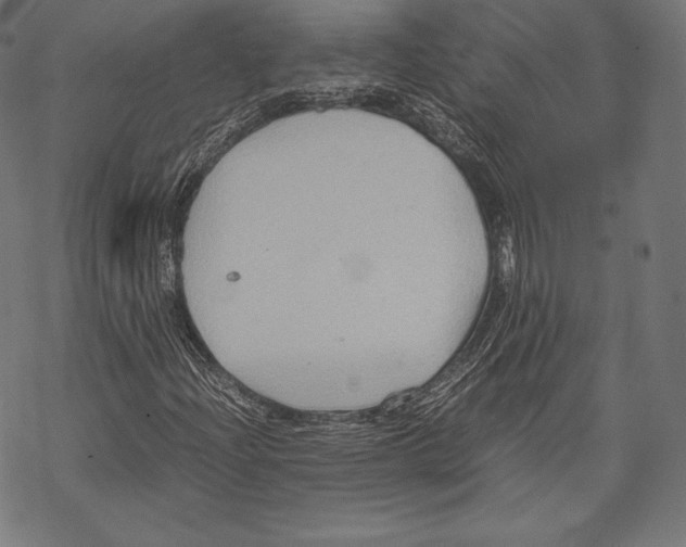 X0000067831204200605111608