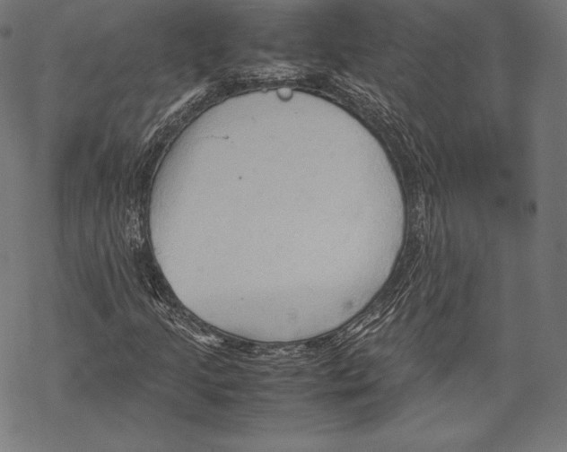 X0000067831205200605111608