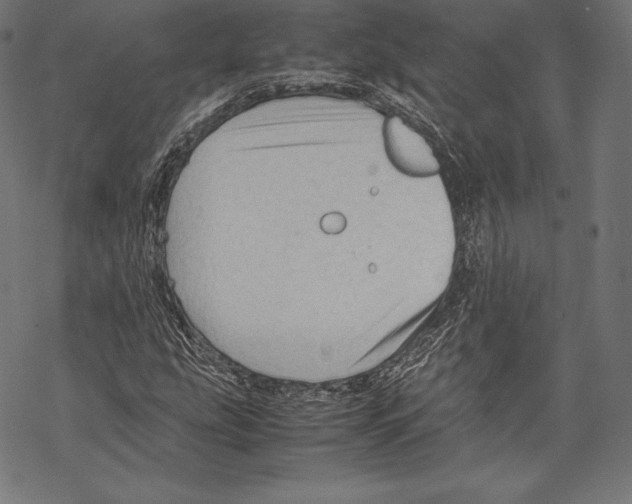 X0000067831207200605111608