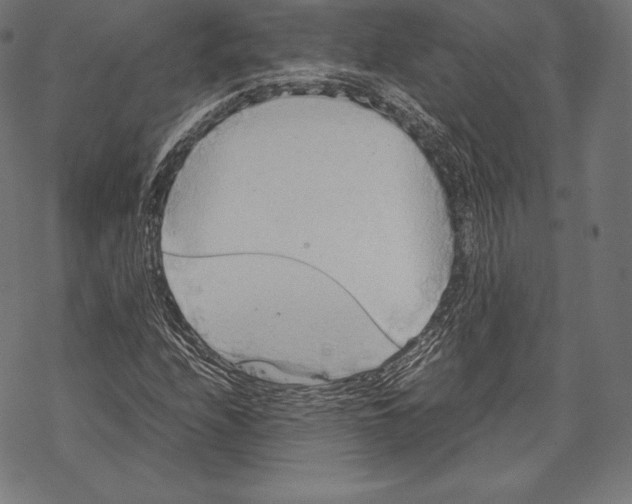 X0000067831208200605111608