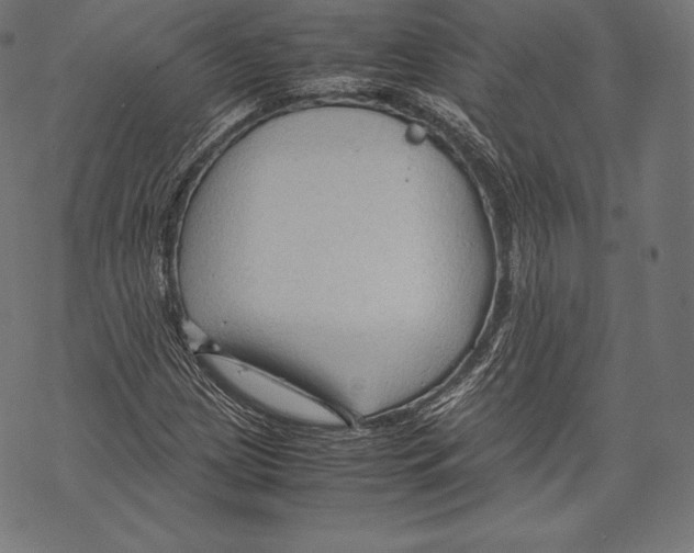 X0000067831209200605111608