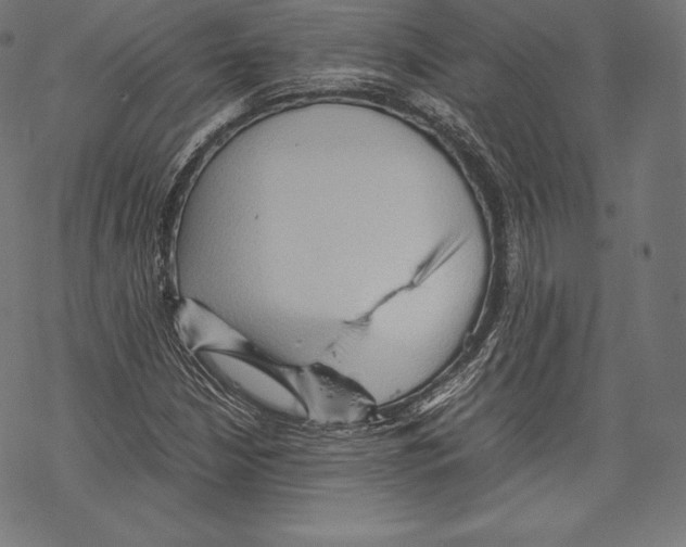 X0000067831210200605111608