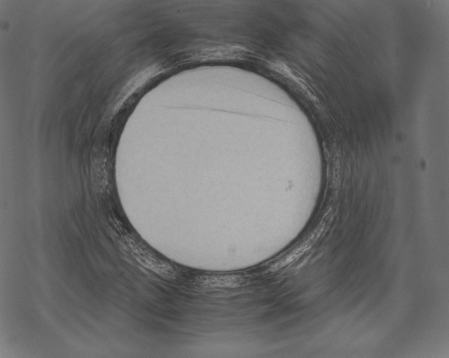 X0000067831211200605111608