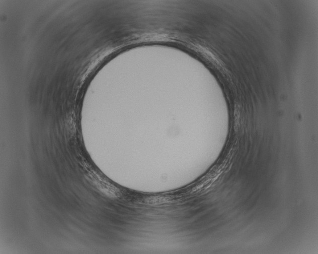 X0000067831212200605111608