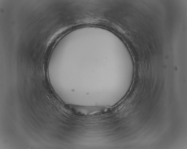 X0000067831214200605111608