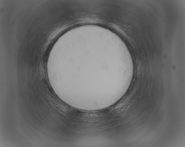 X0000067831215200605111608