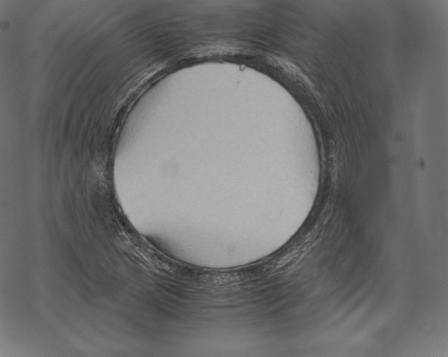 X0000067831217200605111608