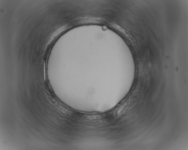 X0000067831219200605111608