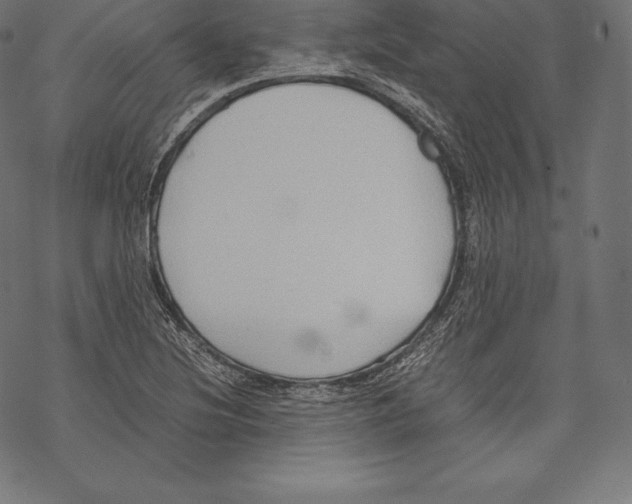 X0000067831220200605111608