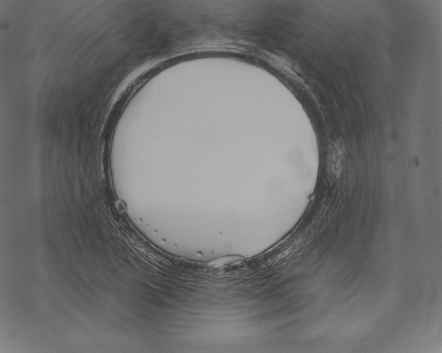 X0000067831222200605111608