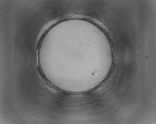 X0000067831223200605111608