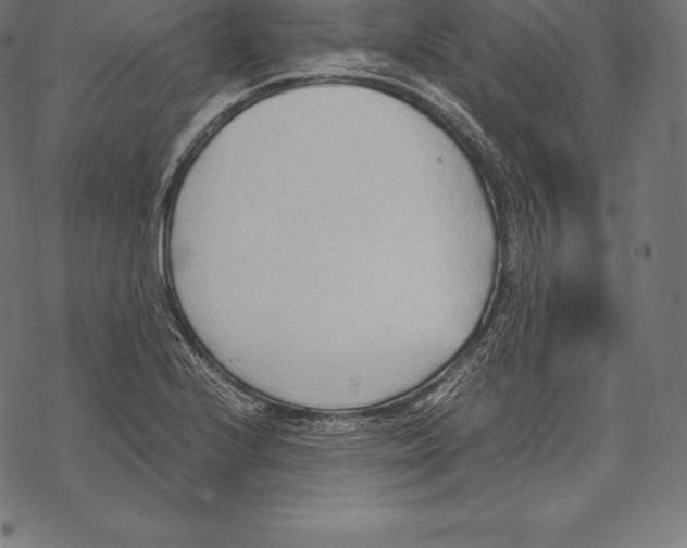 X0000067831224200605111608