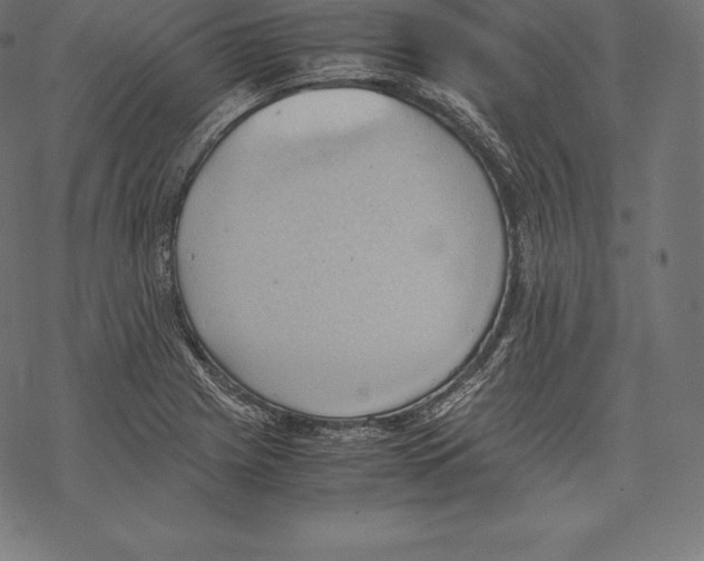 X0000067831225200605111608