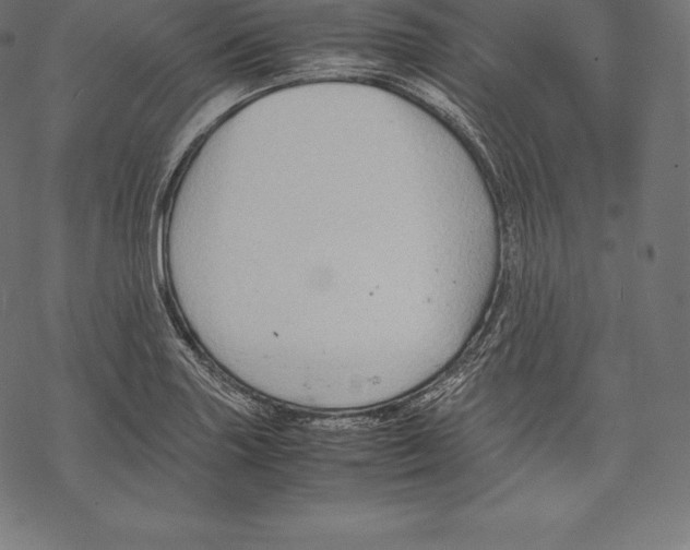 X0000067831227200605111608