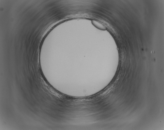 X0000067831228200605111609