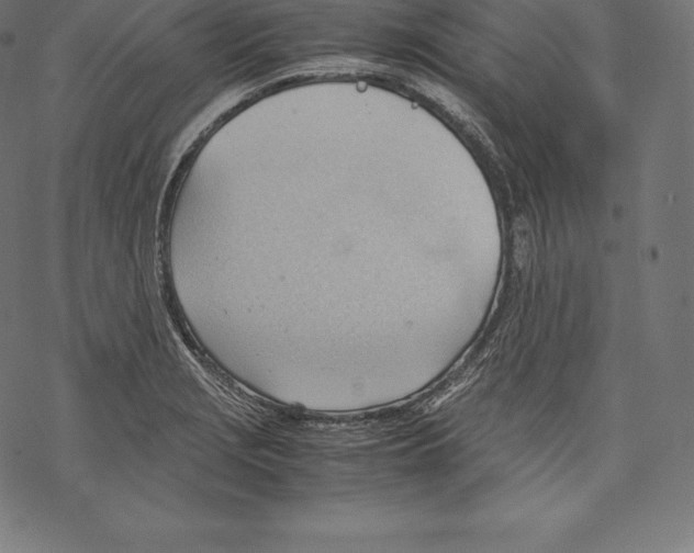 X0000067831229200605111609