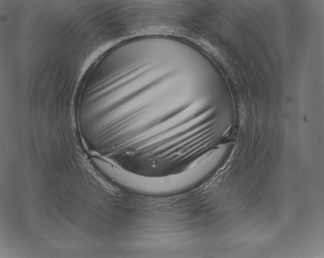 X0000067831230200605111609