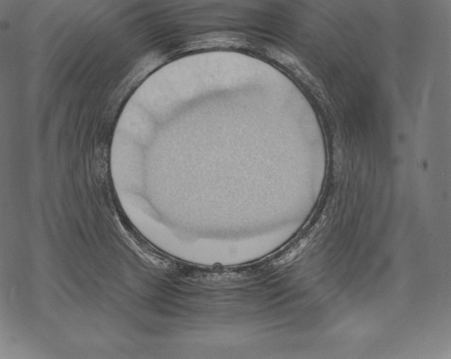 X0000067831233200605111609