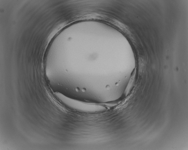 X0000067831234200605111609