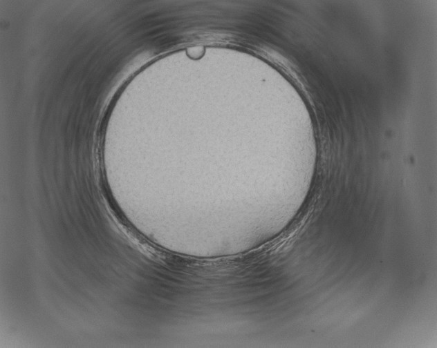 X0000067831235200605111609