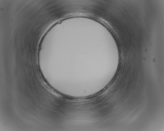 X0000067831236200605111609