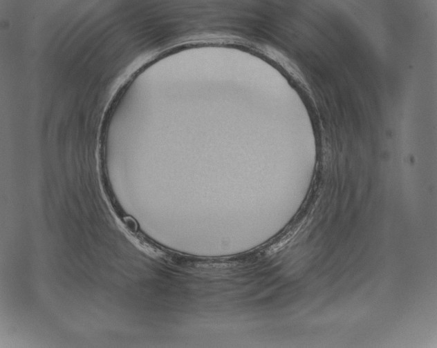 X0000067831237200605111609