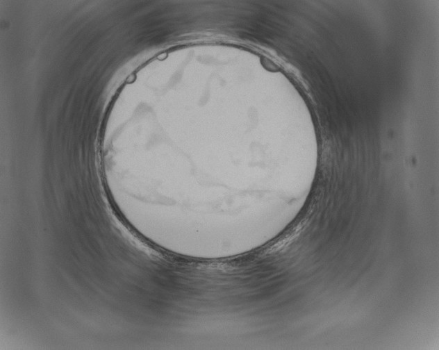 X0000067831239200605111609