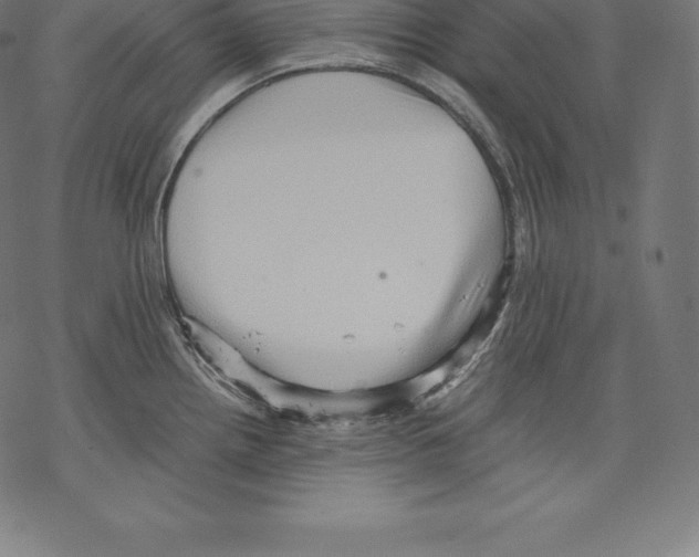 X0000067831242200605111609