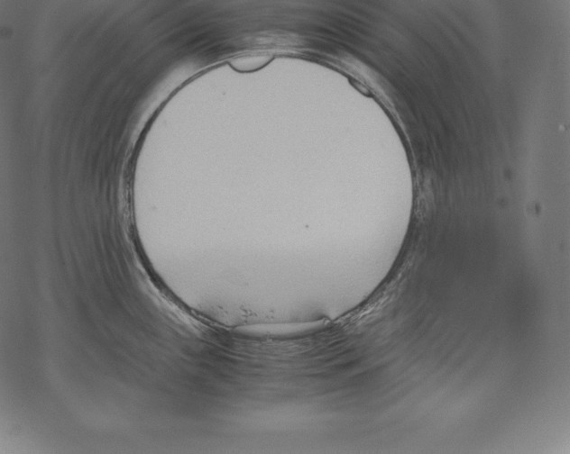 X0000067831243200605111609