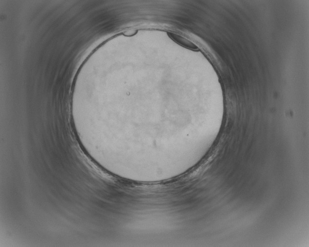 X0000067831244200605111609