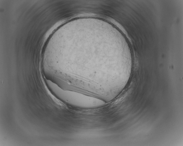 X0000067831245200605111609