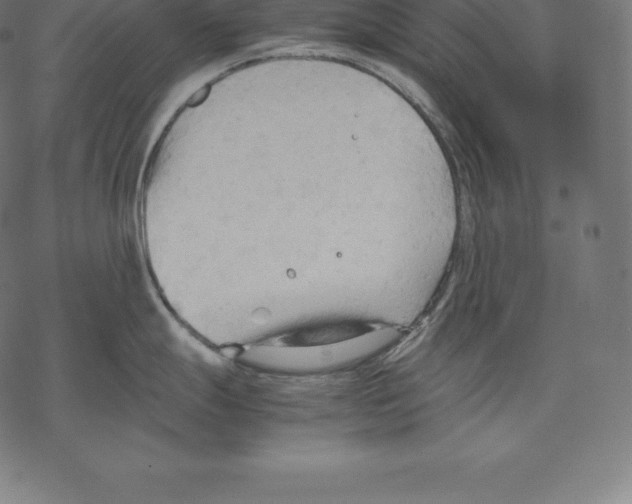 X0000067831247200605111609