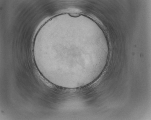 X0000067831248200605111609