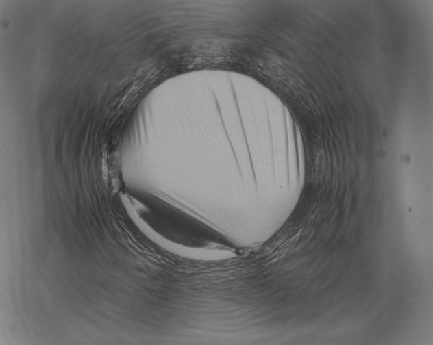 X0000067831250200605111608