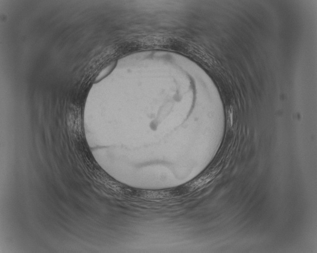 X0000067831251200605111608