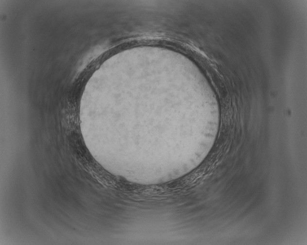 X0000067831255200605111608